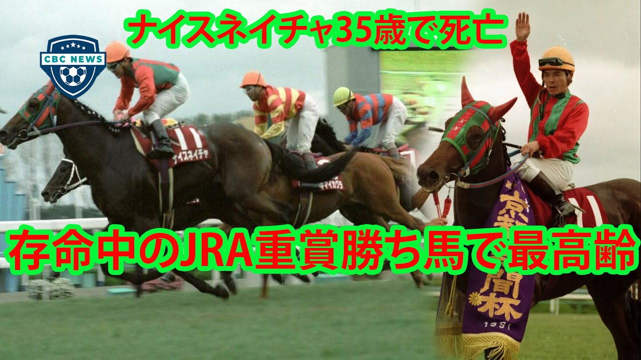 ナイスネイチャ35歳で死亡　伝説の有馬記念3年連続3着、重賞4勝　存命中のJRA重賞勝ち馬で最高齢