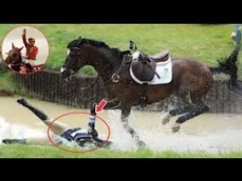 ナイスネイチャ35歳で死亡　有馬記念３年連続３着の個性派　存命中のJRA重賞勝ち馬で最高齢