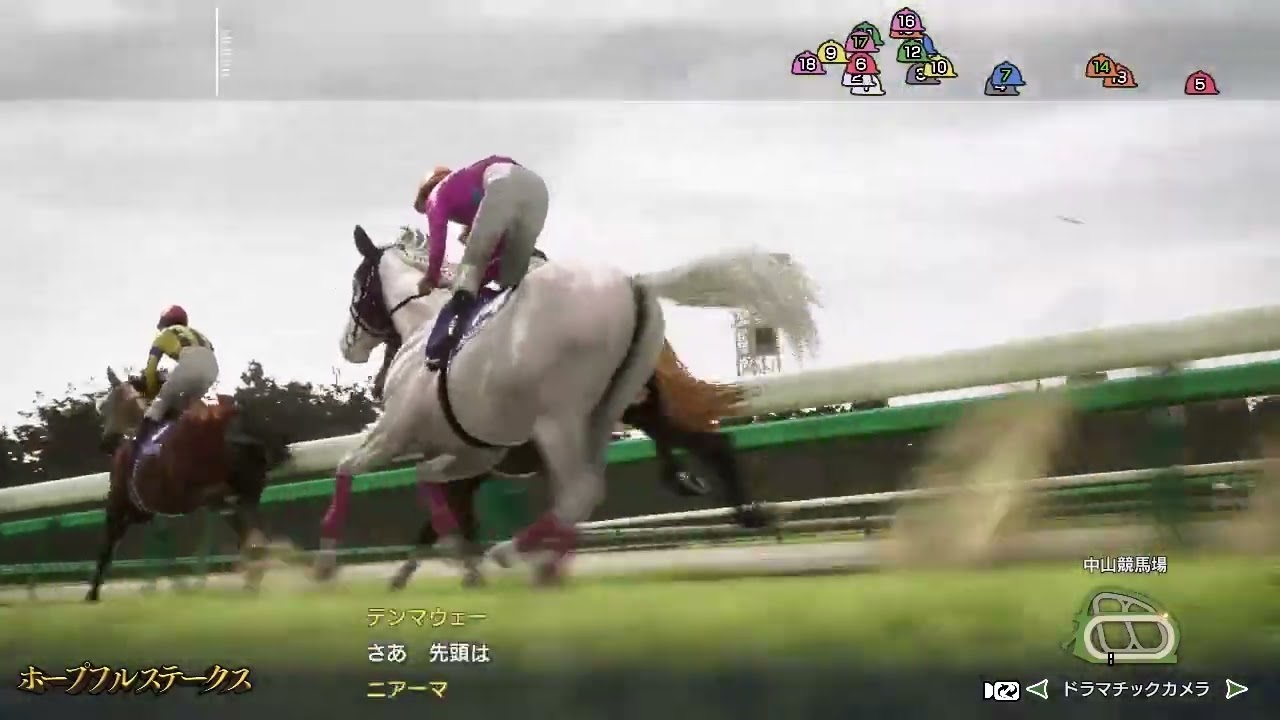 【WP10】1993年ホープフルステークス ホシノアイ