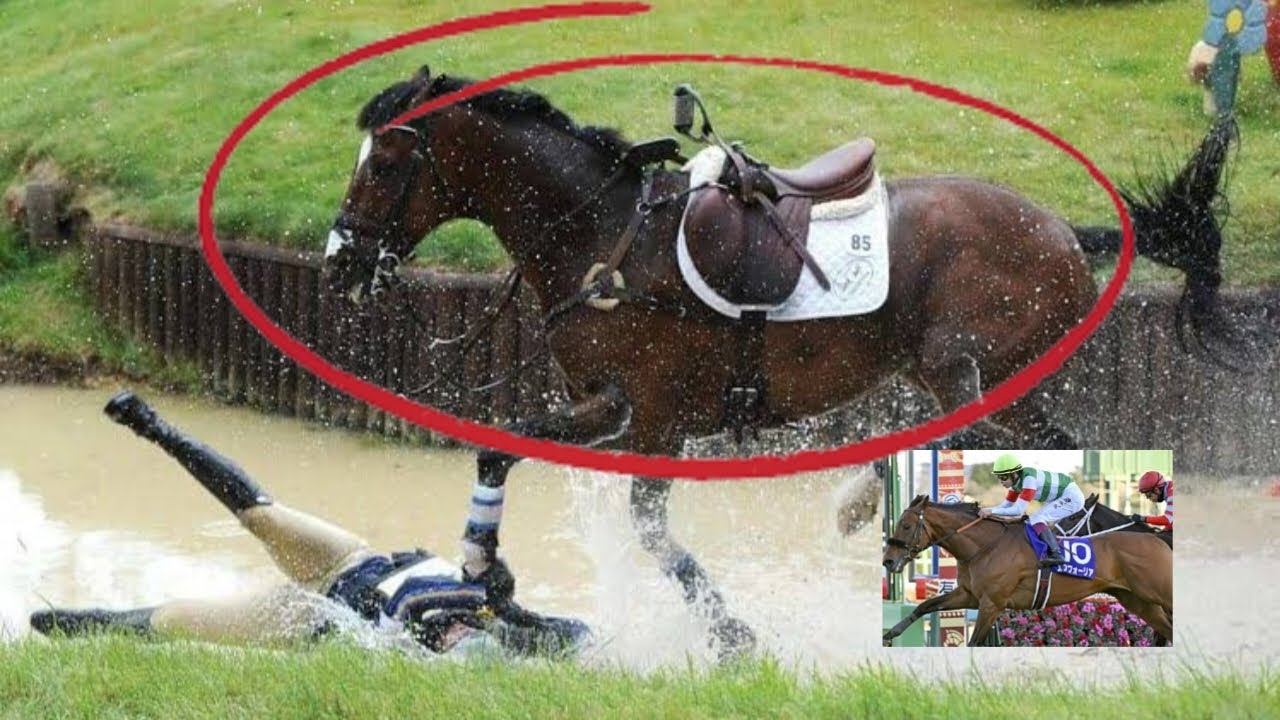 ナイスネイチャ35歳で死亡　有馬記念３年連続３着の個性派　存命中のJRA重賞勝ち馬で最高齢 | 35歳ナイスネイチャ死す 存命のJRA重賞勝ち馬では最高齢