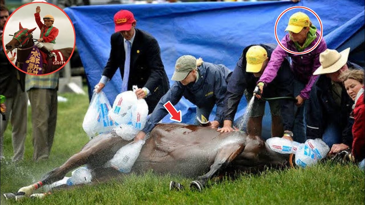 35歳ナイスネイチャ死す 存命のJRA重賞勝ち馬では最高齢
