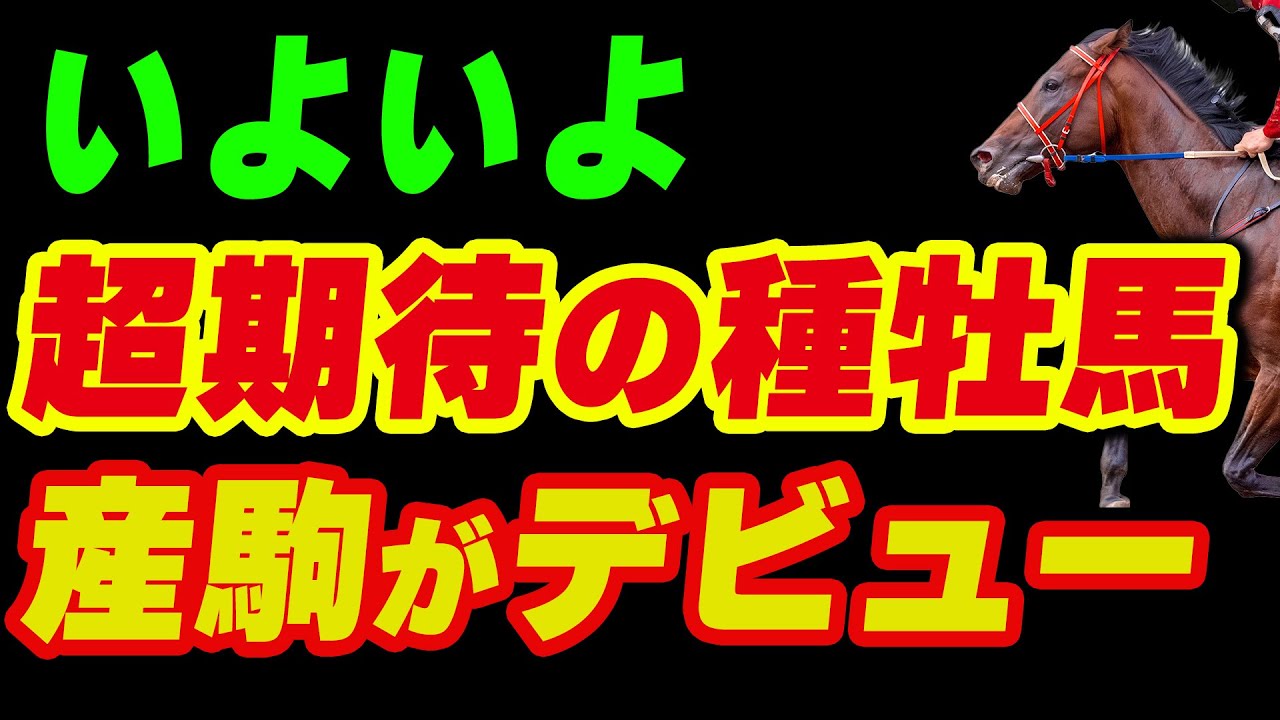 今年産駒がデビュー！超期待の新種牡馬たち