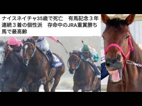 ナイスネイチャ35歳で死亡　有馬記念３年連続３着の個性派　存命中のJRA重賞勝ち馬で最高齢
