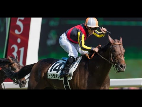【レース回顧#11】2023優駿牝馬(オークス)回顧～これほどまでに強いのです～