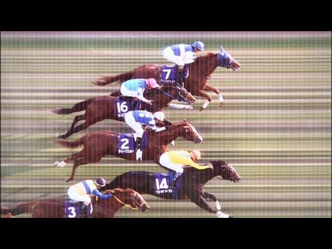 ウオッカ ～生い立ちから引退まで～