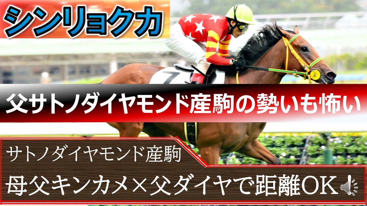 【オークス】桜花賞組からの穴馬は「シンリョクカ」実は母系もスタミナあり！