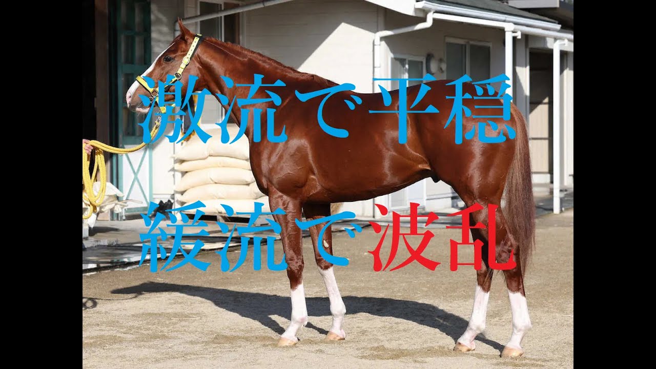 安田記念 2023 あの人気薄が再度激走！！人気馬複数不発、その鍵を握るのはあの実力馬