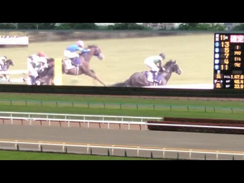 【天皇賞春(G1)2023】🐴『⑰アフリカンゴールドに大歓声💓③タイトルホルダーのスタートダッシュ上回る❕』競争中止にどよめく東京競馬場👍️