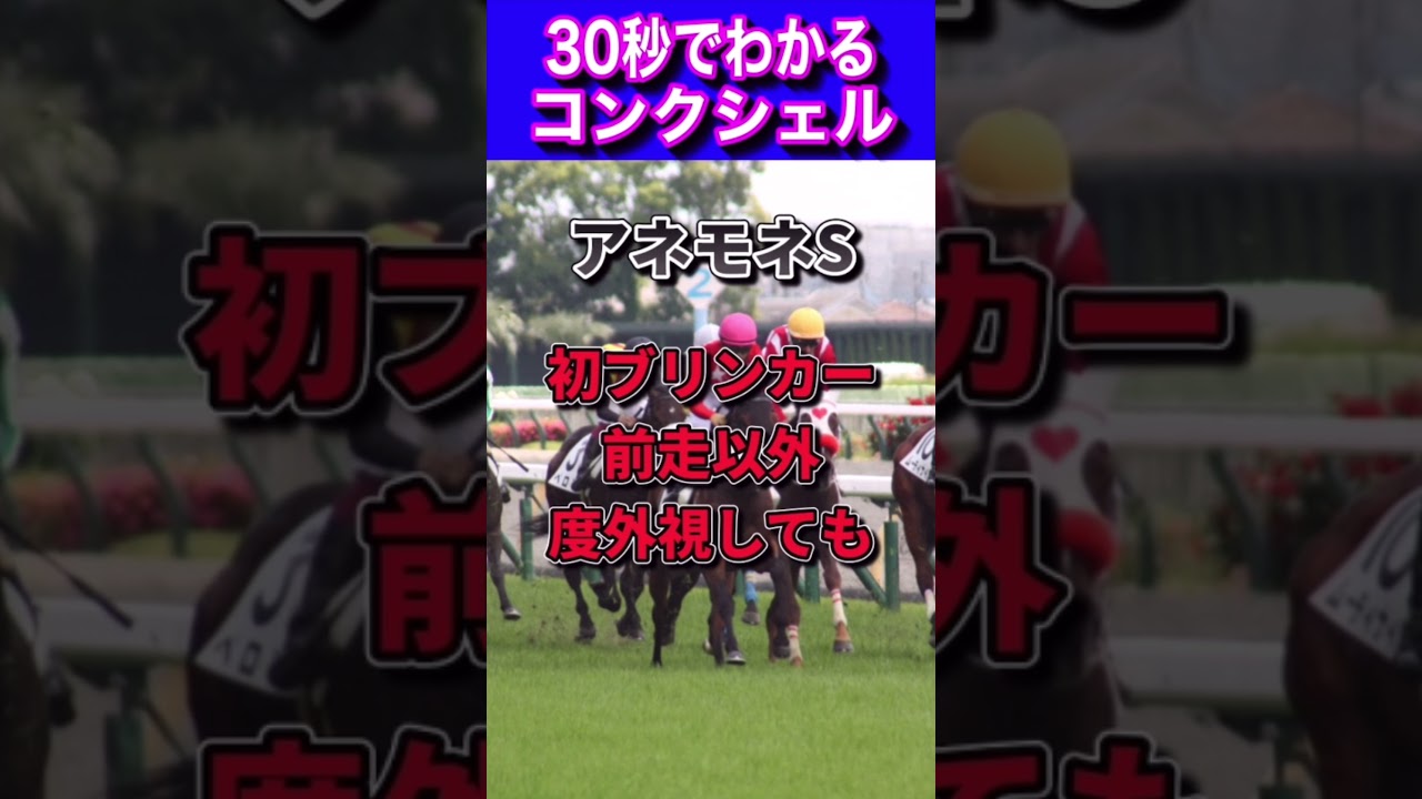 【桜花賞2023】30秒でわかるコンクシェル