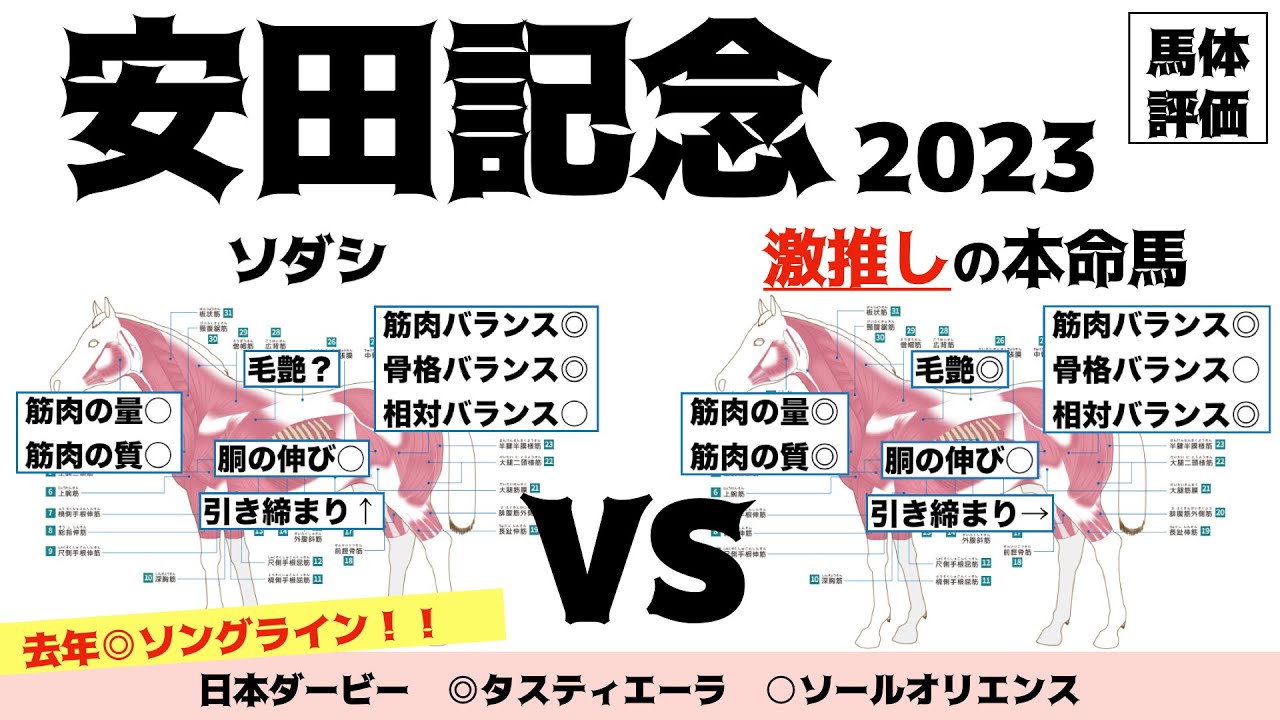 【安田記念2023】ソダシちょいと評価落とすかなぁ…。あぁ…人気薄ばかりよく見えてきた。。【馬体評価】