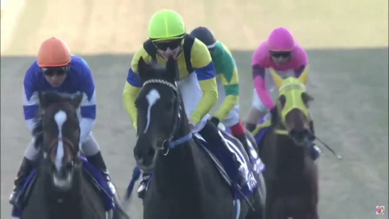 追悼ハーツクライ(2005年有馬記念、2006年ドバイ・シーマクラシック)