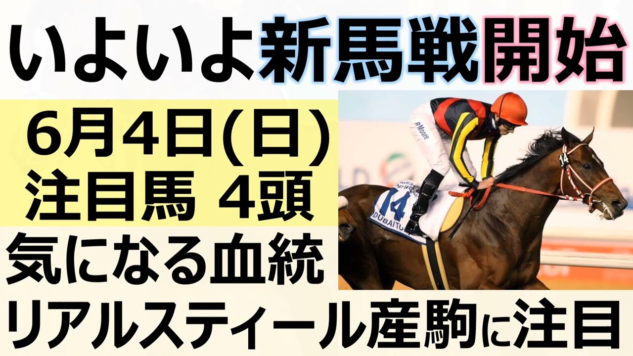 【新馬戦開始】6月４日(日)新馬戦（二日目）の注目の新馬を紹介！走るリアルスティール産駒の特徴判明☆彡