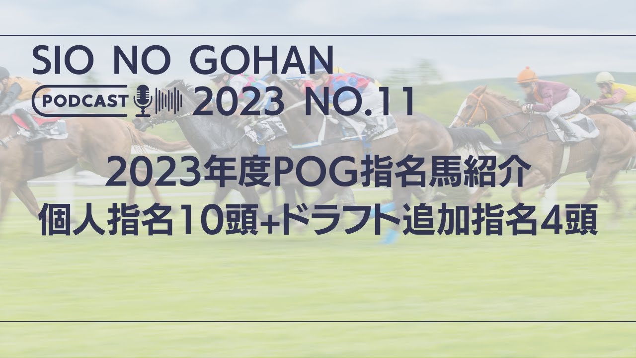 【一口馬主・POG】2023年 POG指名馬の10頭+4頭のご紹介【ゆっくり動画】