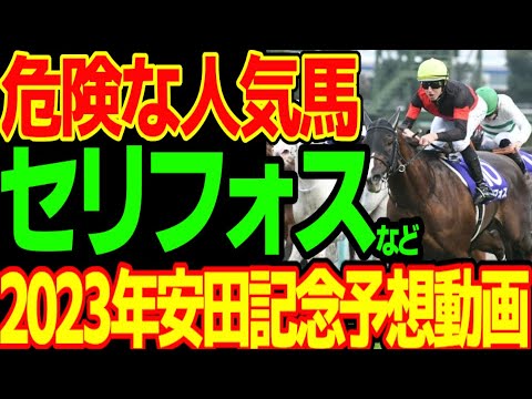 セリフォス、シュネルマイスター、ジャックドール、ソングラインは危ないぞ…！？お前ら…時代は三浦皇成だぞ！？2023年安田記念予想動画【私の競馬論】【競馬ゆっくり】