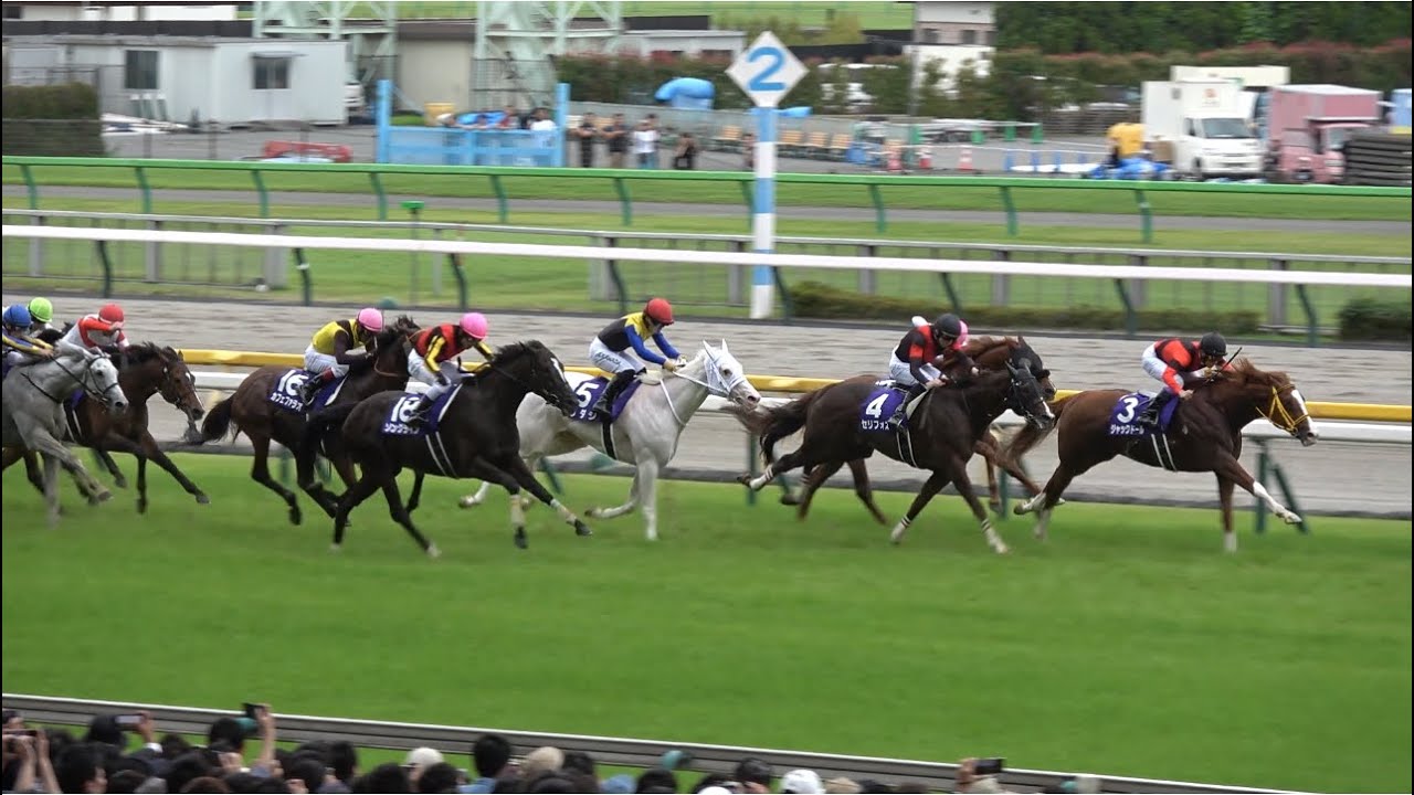 【安田記念2023】ソングライン ウオッカ以来の安田記念連覇！【現地レース映像】