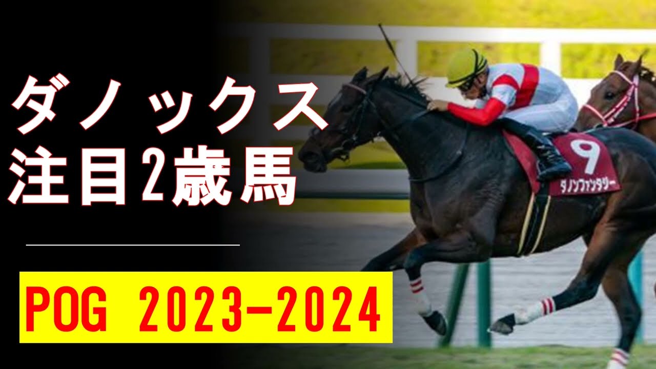 【POG2023-2024】ダノックス注目2歳馬紹介　ダノンは今年も有力馬だらけ