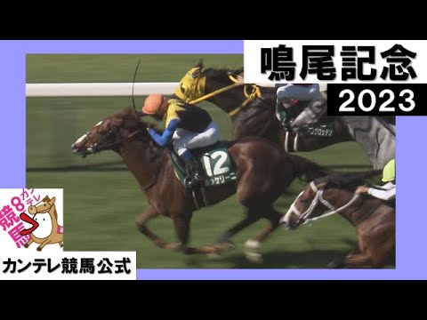 2023年 鳴尾記念(GⅢ) ボッケリーニ    　実況：岡安譲【カンテレ公式】