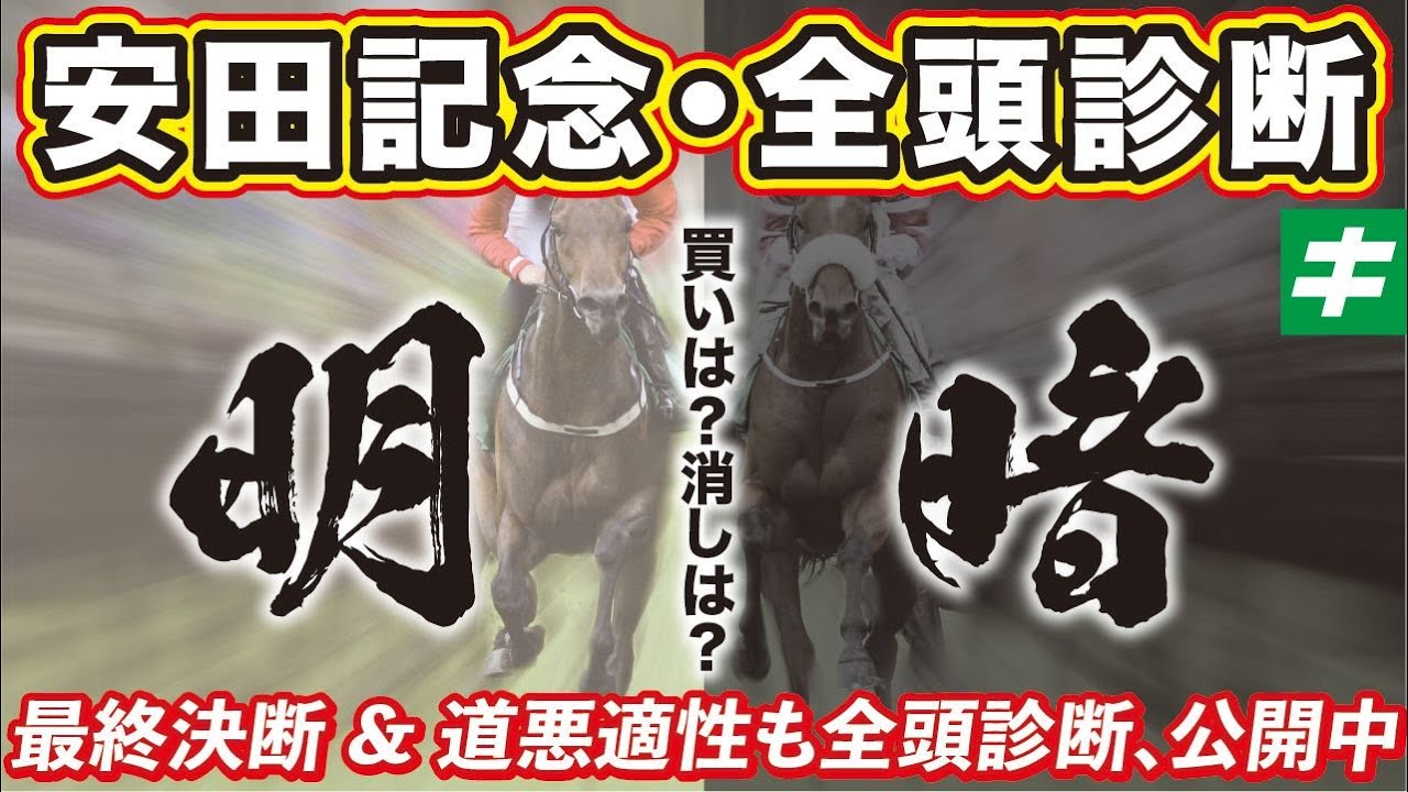 安田記念 2023【最終追い切り/道悪適性】出走18頭を調教全頭診断！状態が急上昇した馬とは？道悪に強い馬とは？