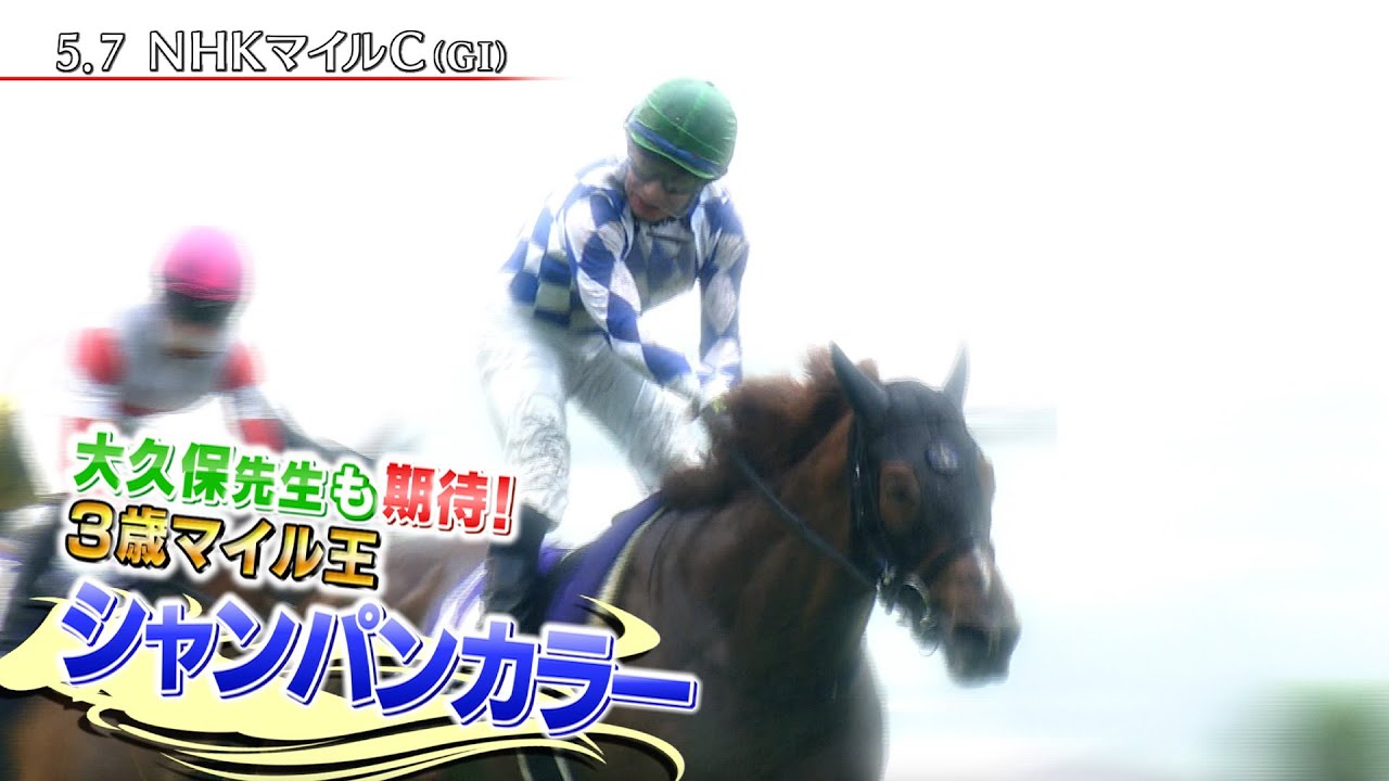 【安田記念】注目は3歳マイル王「シャンパンカラー」内田博幸騎手＆大久保洋吉先生が語り尽くす！｜ウイニング競馬