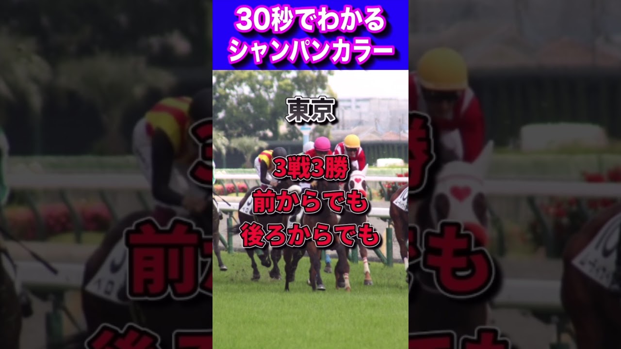 【安田記念2023】30秒でわかるシャンパンカラー