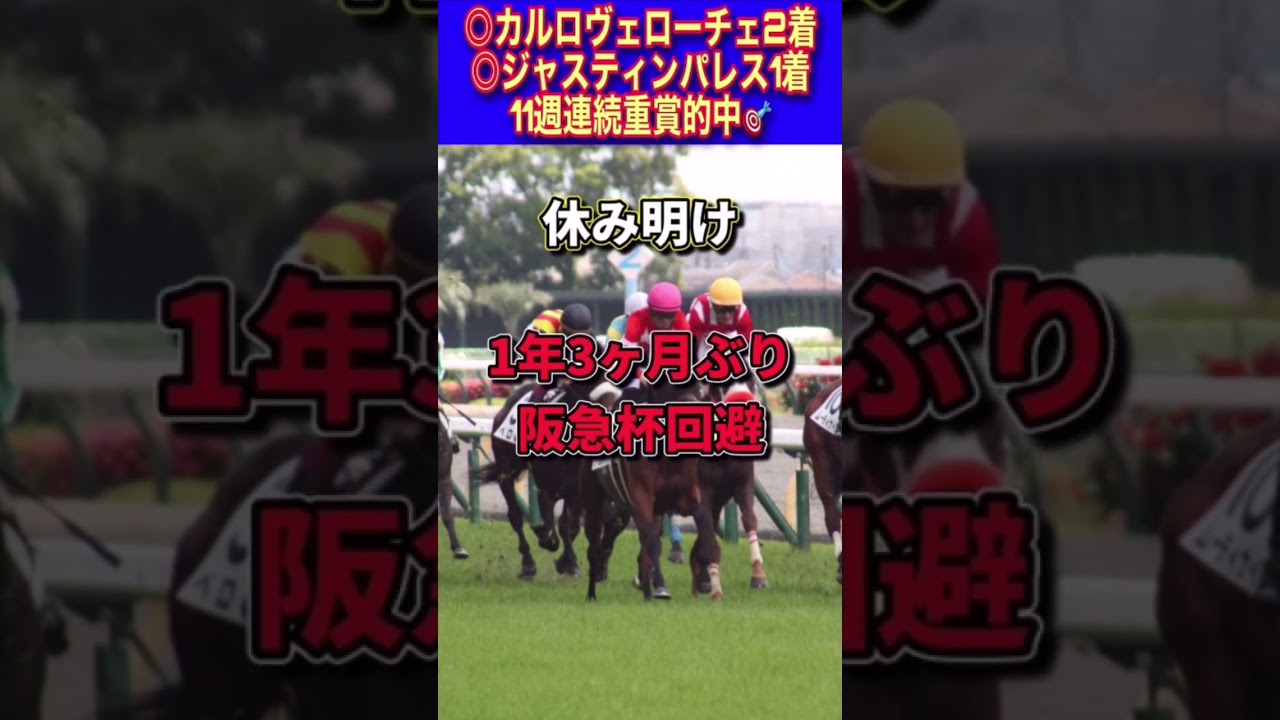 【高松宮記念2023】30秒でわかるピクシーナイト