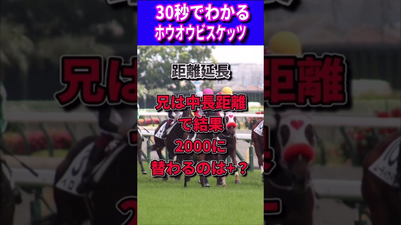 【皐月賞2023】30秒でわかるホウオウビスケッツ