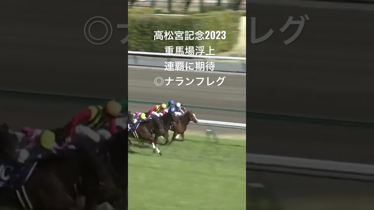 高松宮記念2023 #競馬 #ギャンブル #競馬予想 #jra #中央競馬 #高松宮記念 #ナランフレグ #丸田恭介
