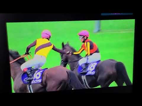 2023 6/4 競馬🐴安田記念　ソングラインが連覇🌹