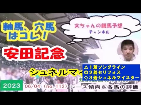 安田記念、シュネルマイスターは？～文ちゃんの競馬予想