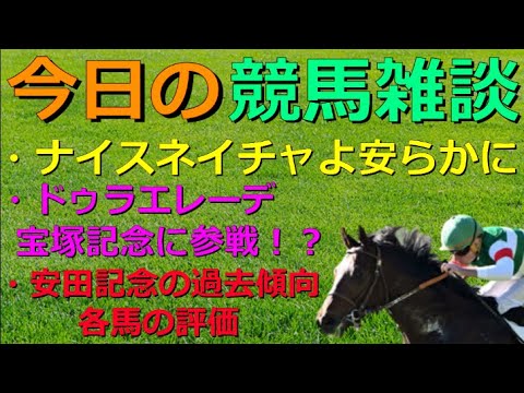 競馬雑談　安田記念の展望　ドゥラエレーデが宝塚記念参戦！？　訃報、ナイスネイチャ亡くなる　等