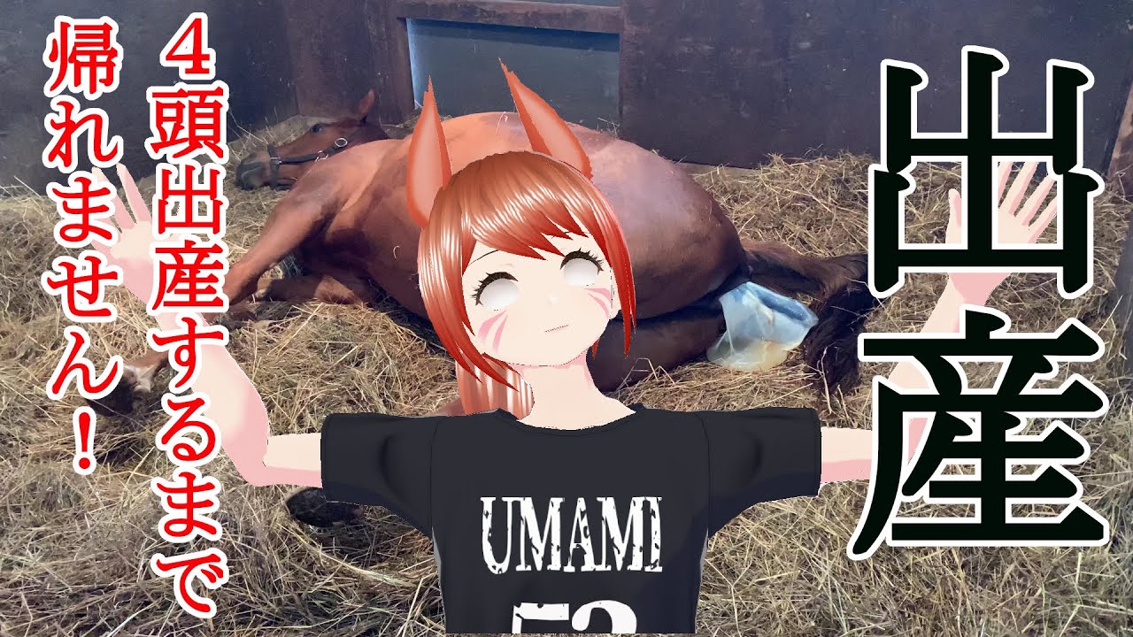 坂戸牧場 4頭の出産のお手伝い！4頭産まれるまでかえれません？