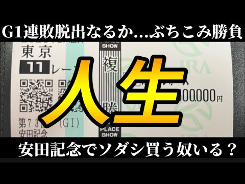 【競馬】安田記念で勝負！複勝30万の厚張り！手に汗握る展開に！？ソダシを買う奴いねぇよな！