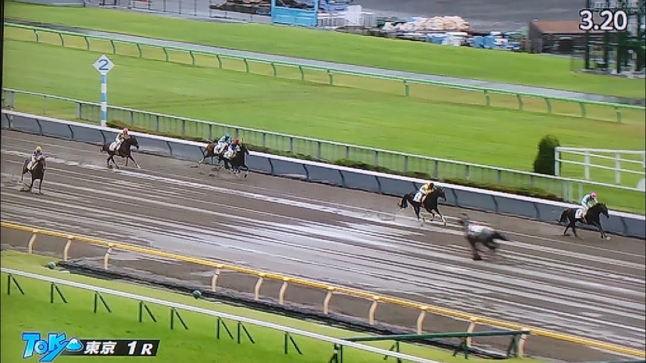 東京1レース障害未勝利 メリディアンローグ