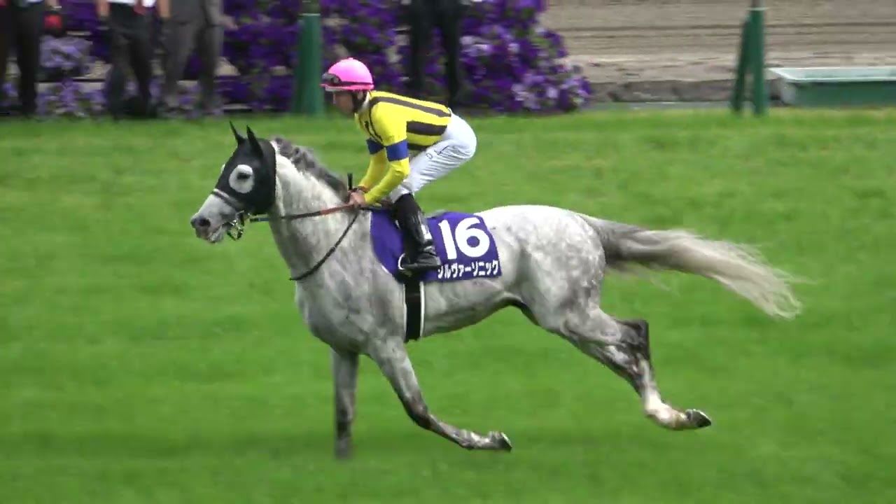 【天皇賞(春)2023】全頭本馬場入場 現地映像 ジャスティンパレス