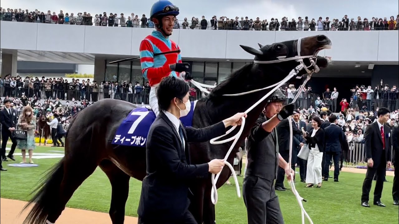 【天皇賞春2023】ルンルン🎶で歩くディープボンド、リュージが乗って戦闘モードに突入🔥💪