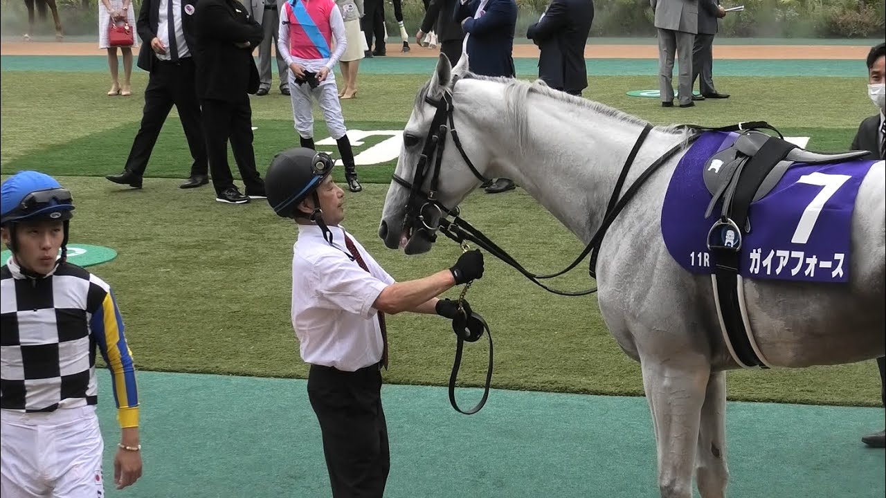 【安田記念2023】西村騎手の奏でるメロディ♬に耳ピコピコで応えるガイアフォース