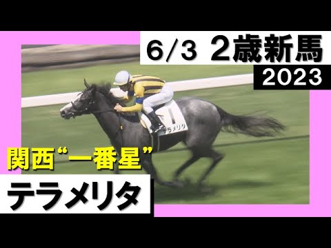 【2023年の新馬戦がスタート！注目の新種牡馬産駒が躍動】実況：川島壮雄 [カンテレ公式]