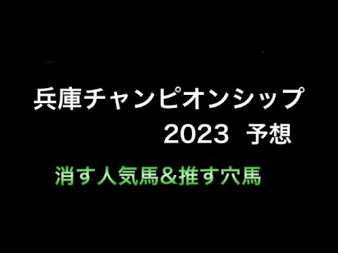 【競馬予想】　地方交流重賞　兵庫チャンピオンシップ　2023  予想　兵庫CS