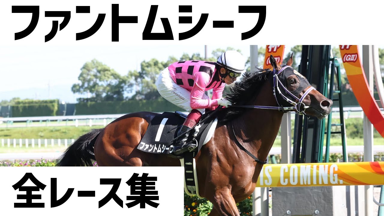 【競馬】ファントムシーフ全レース集　日本ダービー前必見！！