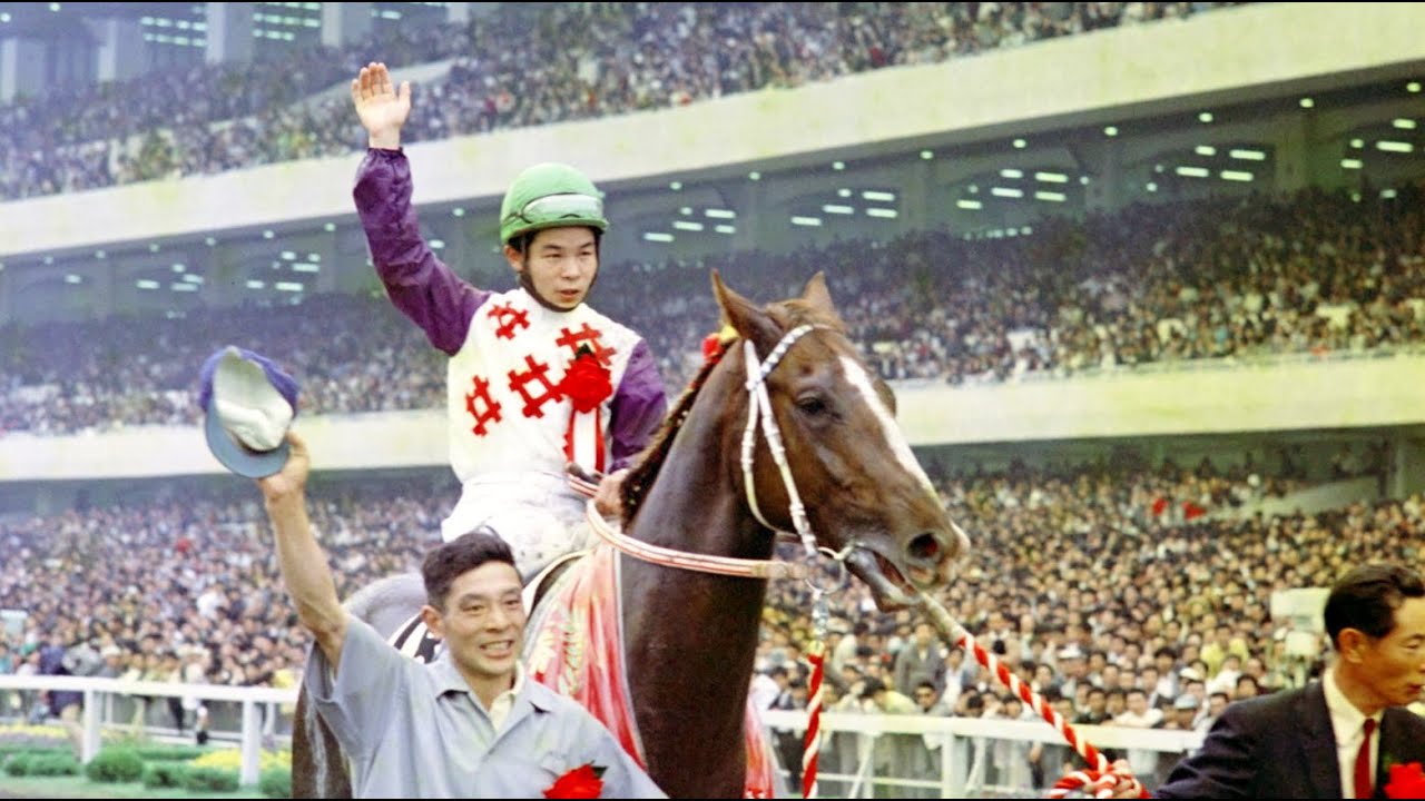 第３６回　東京優駿（日本ダービー）　ダイシンボルガード　牡３　57　大崎昭一　1969.5.25　　出走馬： ミノル、ハクエイホウ、リキエイカン、ニシキオール、ドウカンオー、キンセンオー他