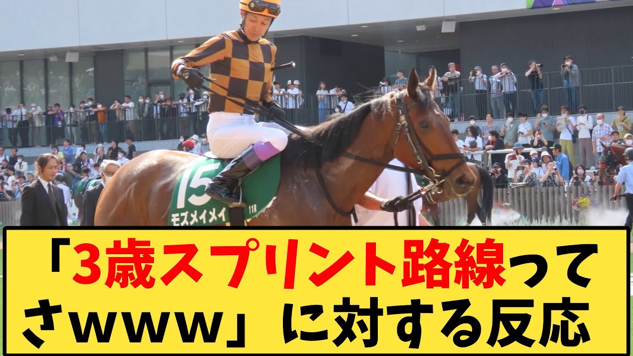 【競馬】「3歳スプリント路線ってさｗｗｗ」に対する反応【反応集】