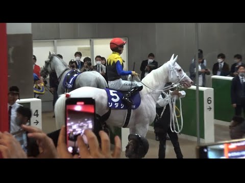 【安田記念2023】敗戦後のソダシの様子 地下馬道【現地】