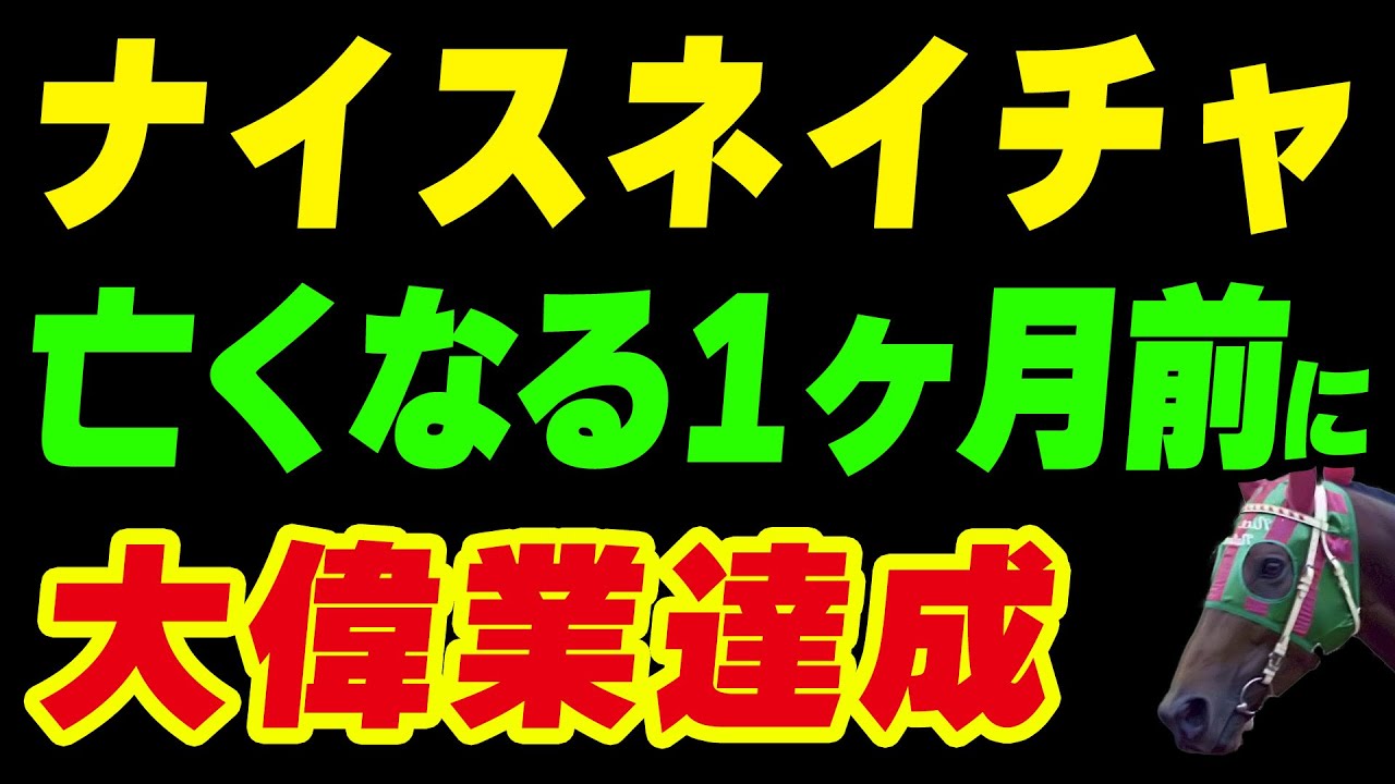 ナイスネイチャが亡くなる1ヶ月前に大偉業を達成！生涯ファンに愛された名馬の馬生を振り返る