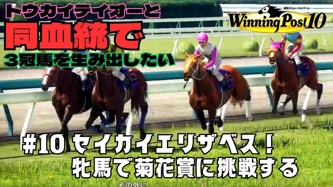 【Winning Post10】#10 セイカイエリザベス！ 牝馬で菊花賞に挑戦！【トウカイテイオーと同血統で三冠馬を生み出したい】