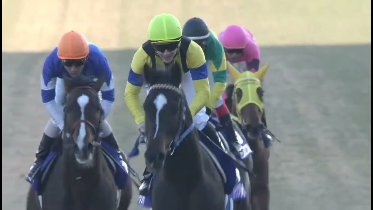 【お疲れ様ハーツクライ】追悼 ハーツクライ 有馬記念 2005年 #有馬記念 #ハーツクライ #ディープインパクト #競馬 #中山競馬場