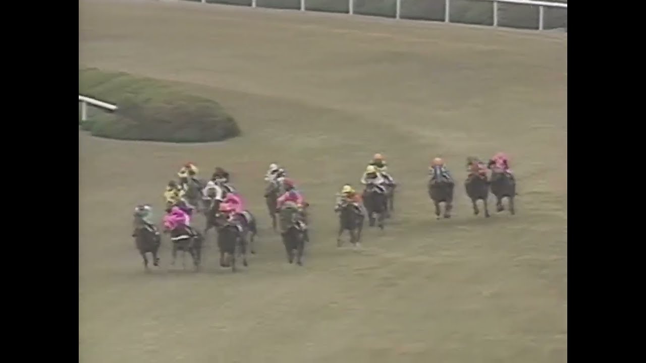 ニシノフラワー 1992年 第17回エリザベス女王杯(GI) (優勝馬：タケノベルベット) (実況：ラジオたんぱ)