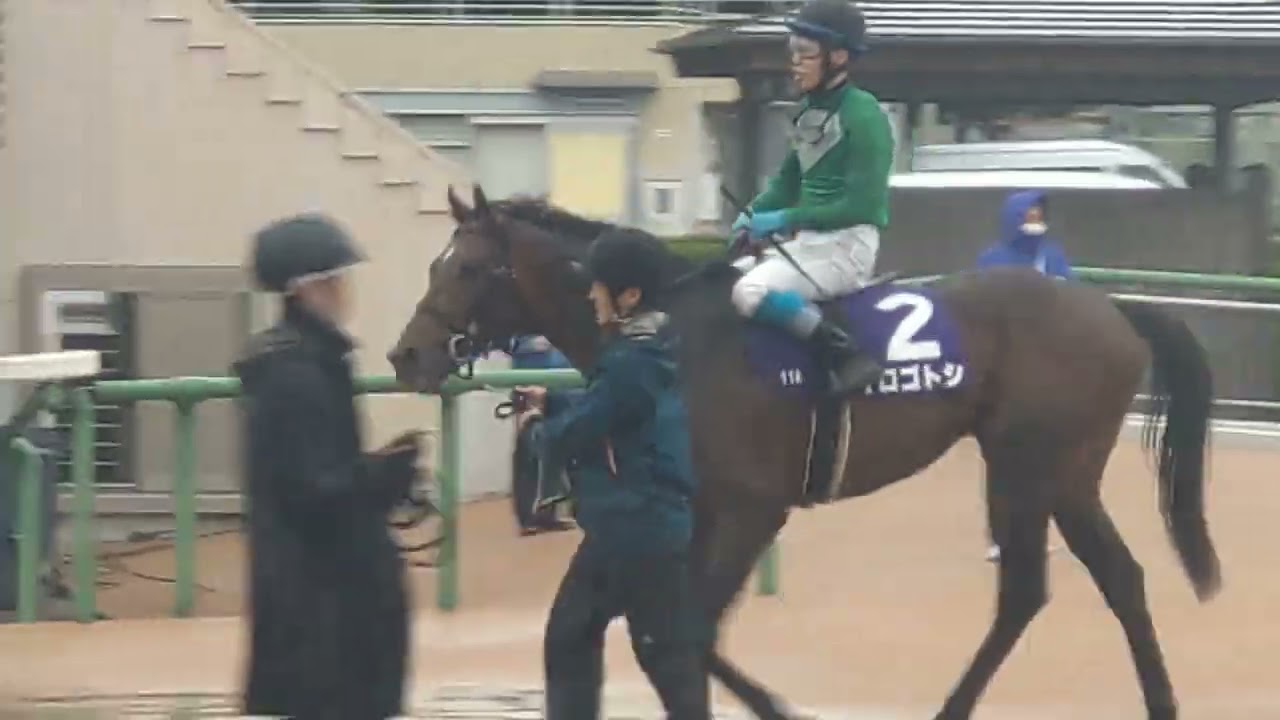 イロゴトシ中山GJ制覇！九州産馬では初の快挙。おめでとう～