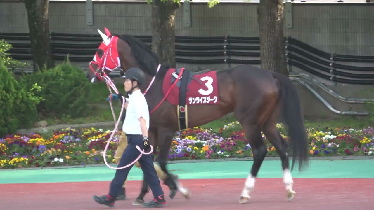 【兵庫チャンピオンシップ2023】武豊 横山典弘 登場 全頭パドック 現地映像