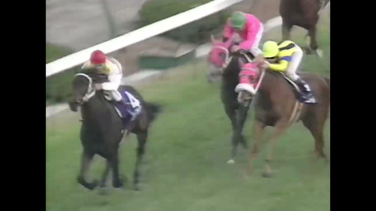 ニシノフラワー 1991年 第43回阪神3歳牝馬ステークス(GI) (優勝馬：ニシノフラワー) (実況：ラジオたんぱ)