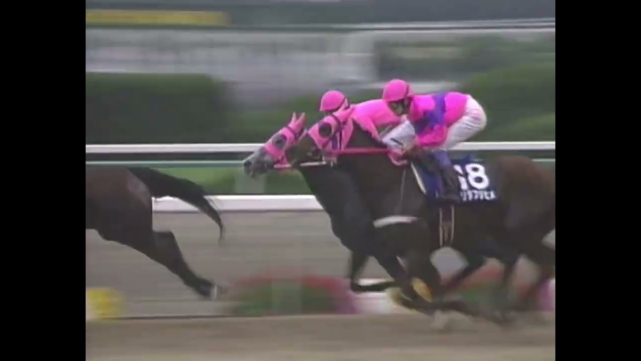 ニシノフラワー 1992年 第17回エリザベス女王杯(GI) (優勝馬：タケノベルベット)